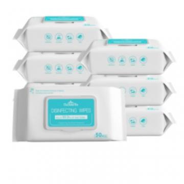 Popular Antibacterial Wet Wipes for Household and Travel