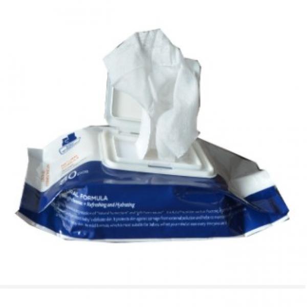 Anti-Bacterial 70% Above Alcohol Wipes 14X18cm